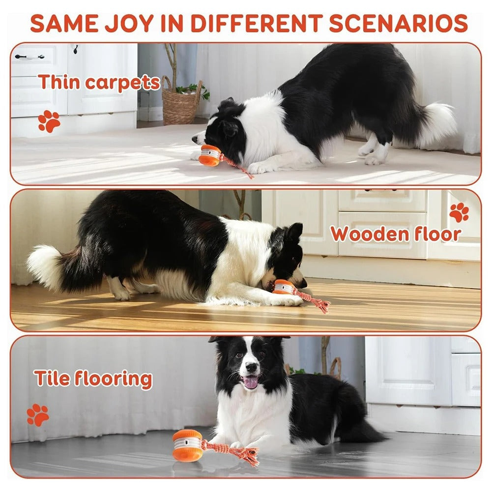 Dog Toys Motion-Activated Toy for All Dogs