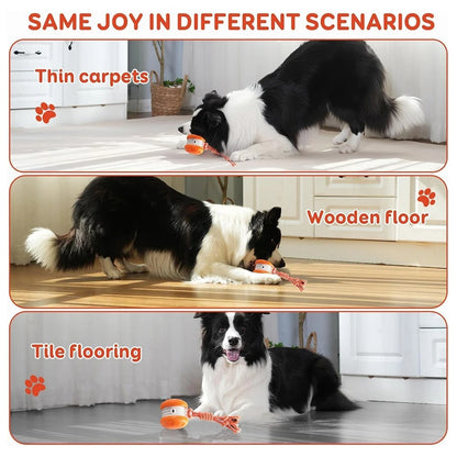 Dog Toys Motion-Activated Toy for All Dogs