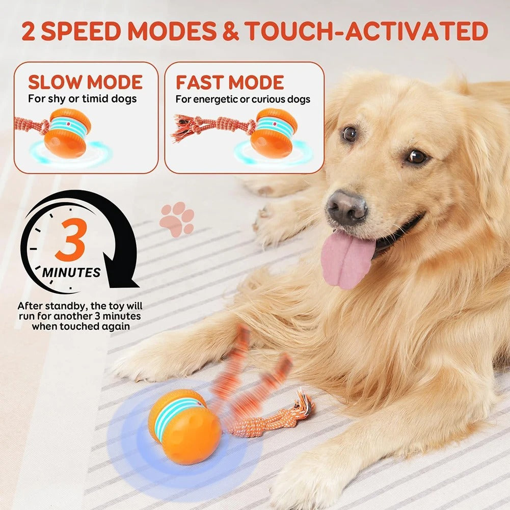 Dog Toys Motion-Activated Toy for All Dogs